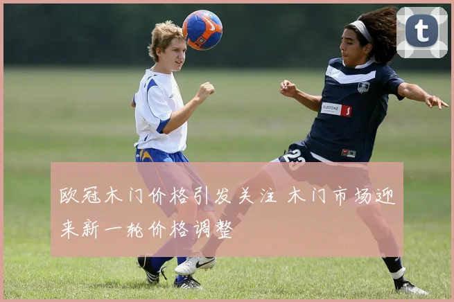 欧冠木门价格引发关注 木门市场迎来新一轮价格调整